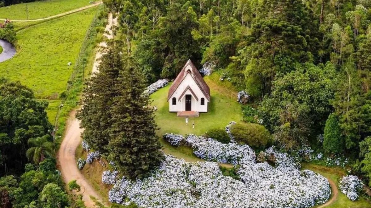 Igreja de madeira cercada por hortênsias vira cenário de "conto de fadas" em Joinville