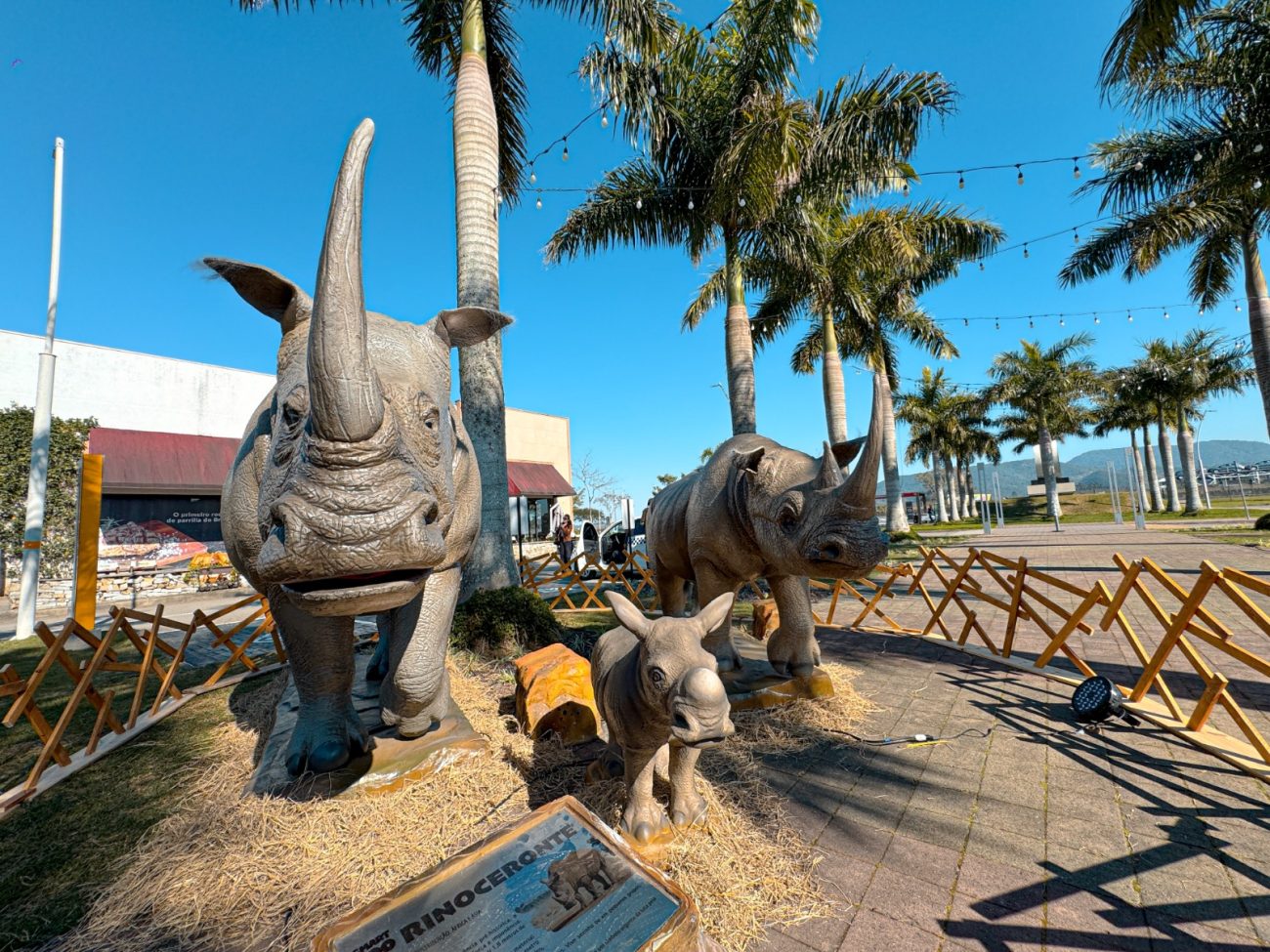 Foto mostra rinocerontes robotizados