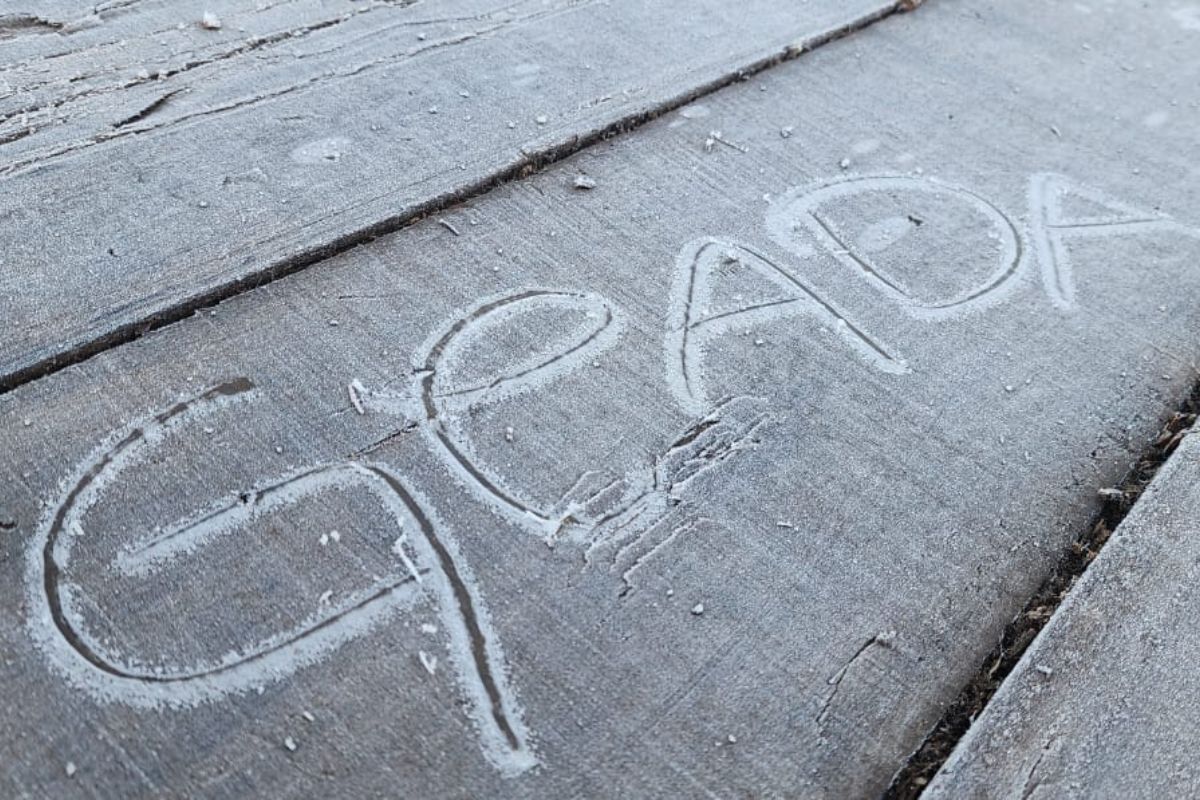 Geada : ce qu'il faut savoir — image 4