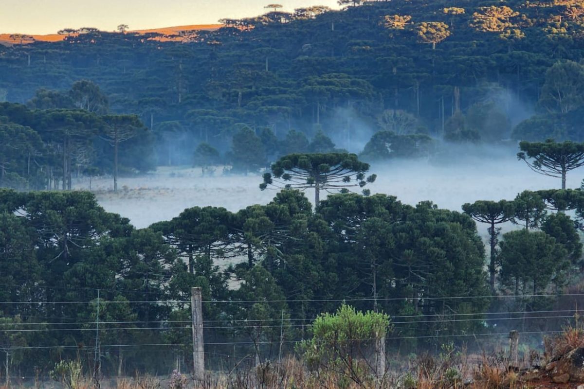 São Joaquim desperta com geada e mostra todo o charme da Serra catarinense. - Wagner Urbano/ND
