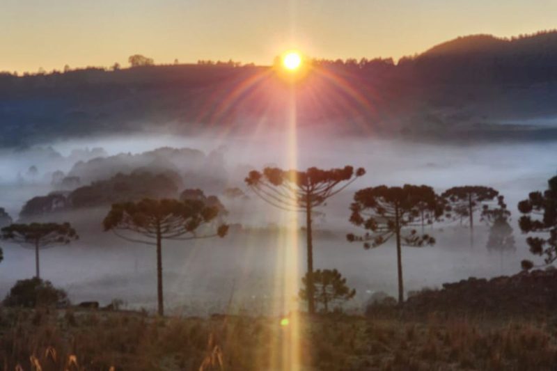 Amanhecer gelado transforma São Joaquim em cenário de cartão-postal - Wagner Urbano/ND