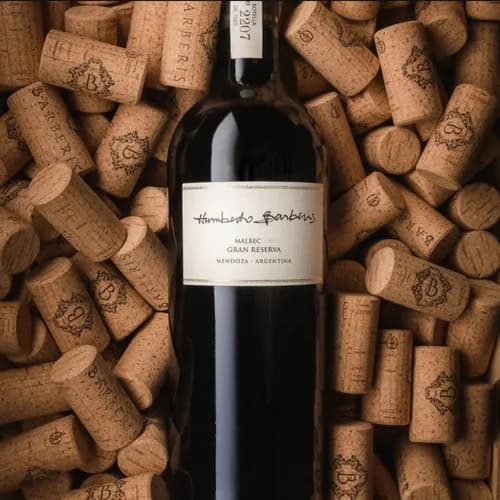 Humberto Barberis Gran Reserva Malbec &eacute; um dos melhores vinhos argentinos