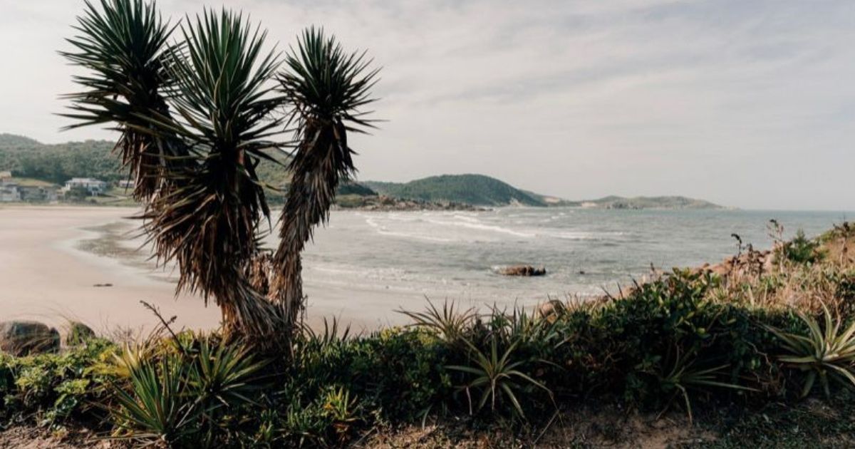 Paraíso 'secreto' oferece cerca de três trilhas e vegetação nativa - Reprodução/Visite Laguna/ND