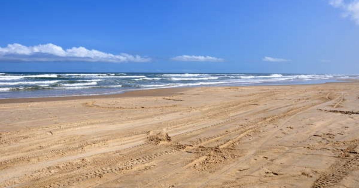 Imagem de uma paisagem com bastante areia e um mar azul, para fazer referência ao fato de que a Praia Dunas do Sul surpreende visitantes pela vegetação nativa
