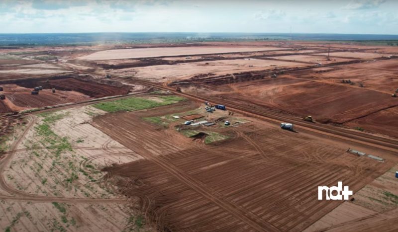 Projeto contará com 400 mil hectares e deve se consolidar no chamado Vale da Celulose - Mais Floresta/@MaisFloresta/YouTube