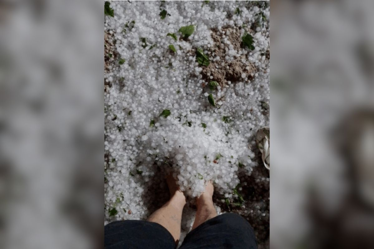 Defesa Civil registrou queda de granizo em São Miguel do Oeste. - Defesa Civil/ND