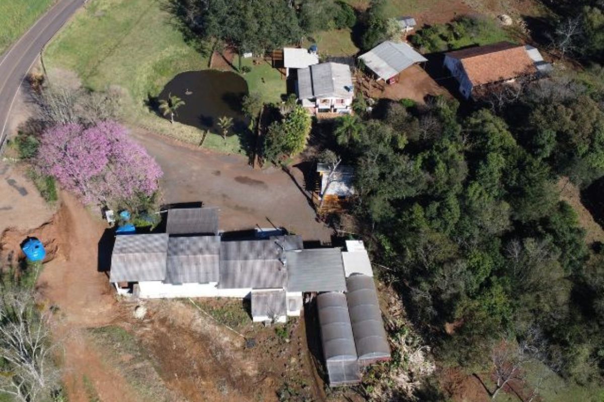 Moacir se uniu a outros agricultores para criar uma feira livre em Guaraciaba - Elvys Taffarel/Epagri/ND