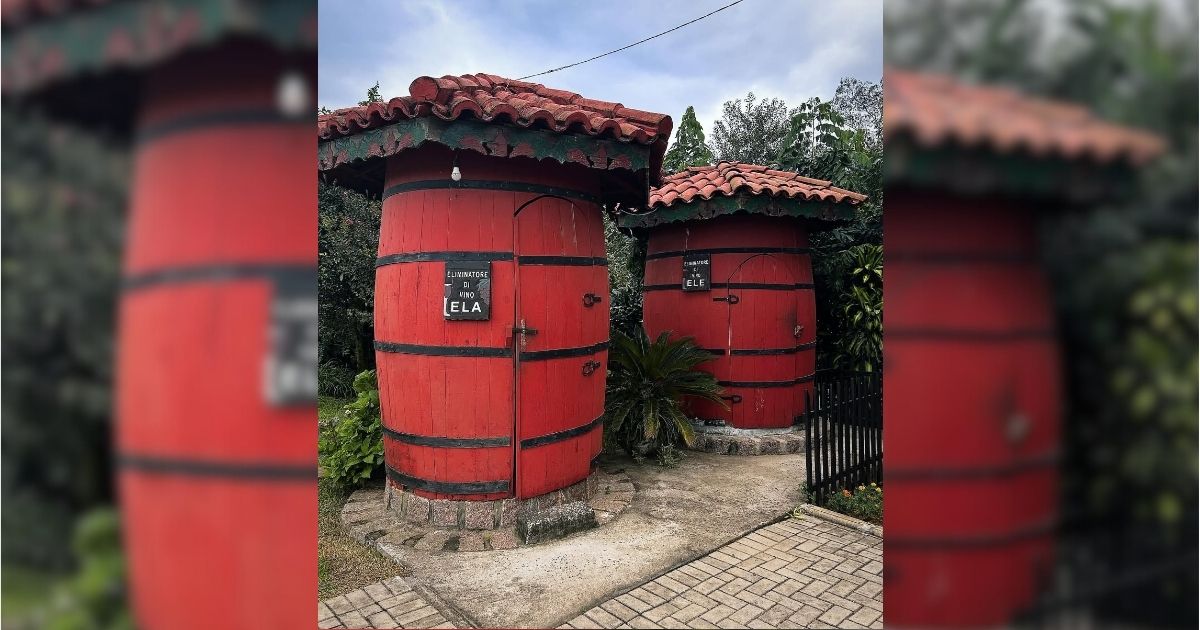Vinícola é um dos principais destinos turísticos de Nova Veneza - Vinícola Borgo/Divulgação/ND