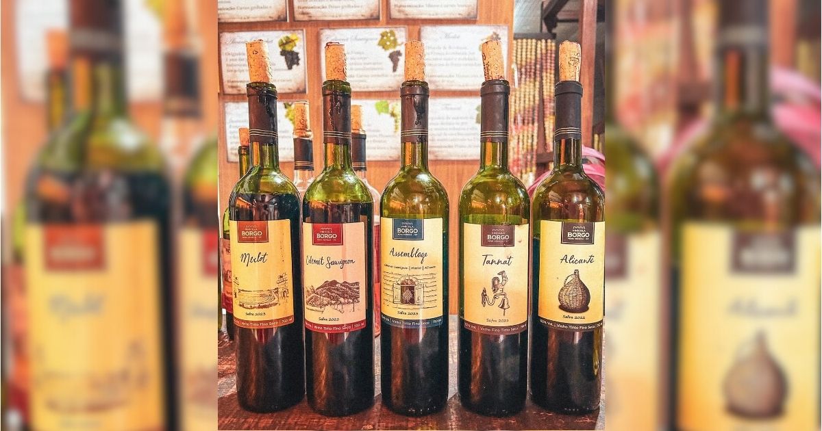 Produtos da Vinícola Borgo, localizada em Nova Veneza - Vinícola Borgo/Divulgação/ND