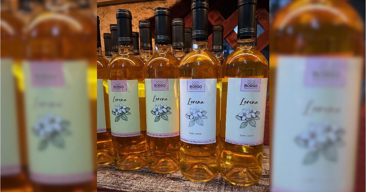 Produtos da Vinícola Borgo, localizada em Nova Veneza - Vinícola Borgo/Divulgação/ND