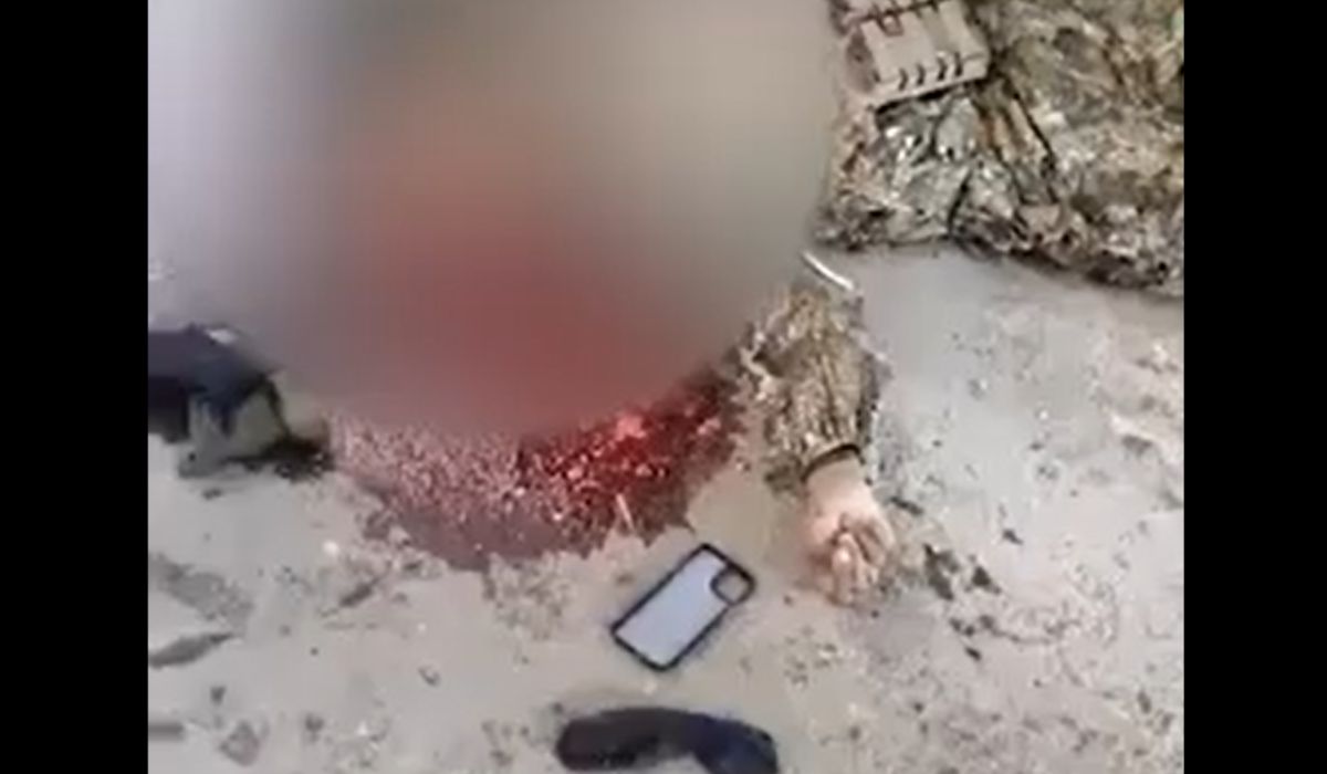 Corpo da Japinha do CV