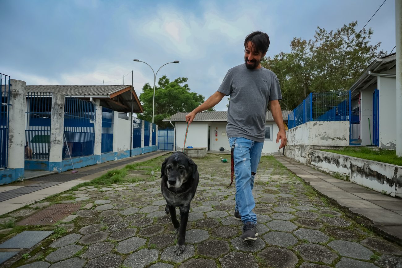 Dibea de Florianópolis tem superlotação e problemas estruturais, apontou vistoria do MPSCFoto: Germano Rorato/ND