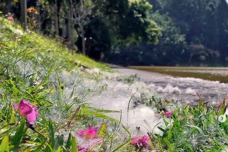 Parque Malwee em Jaraguá do Sul - Reprodução/Parque Malwee/ND
