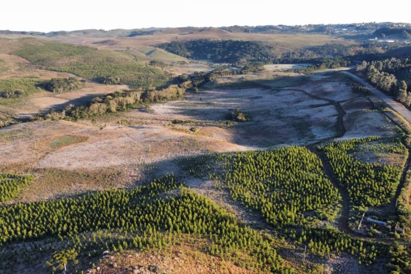 São Joaquim, na Serra de Santa Catarina, atrai turistas o ano inteiro - Wagner Urbano/ND