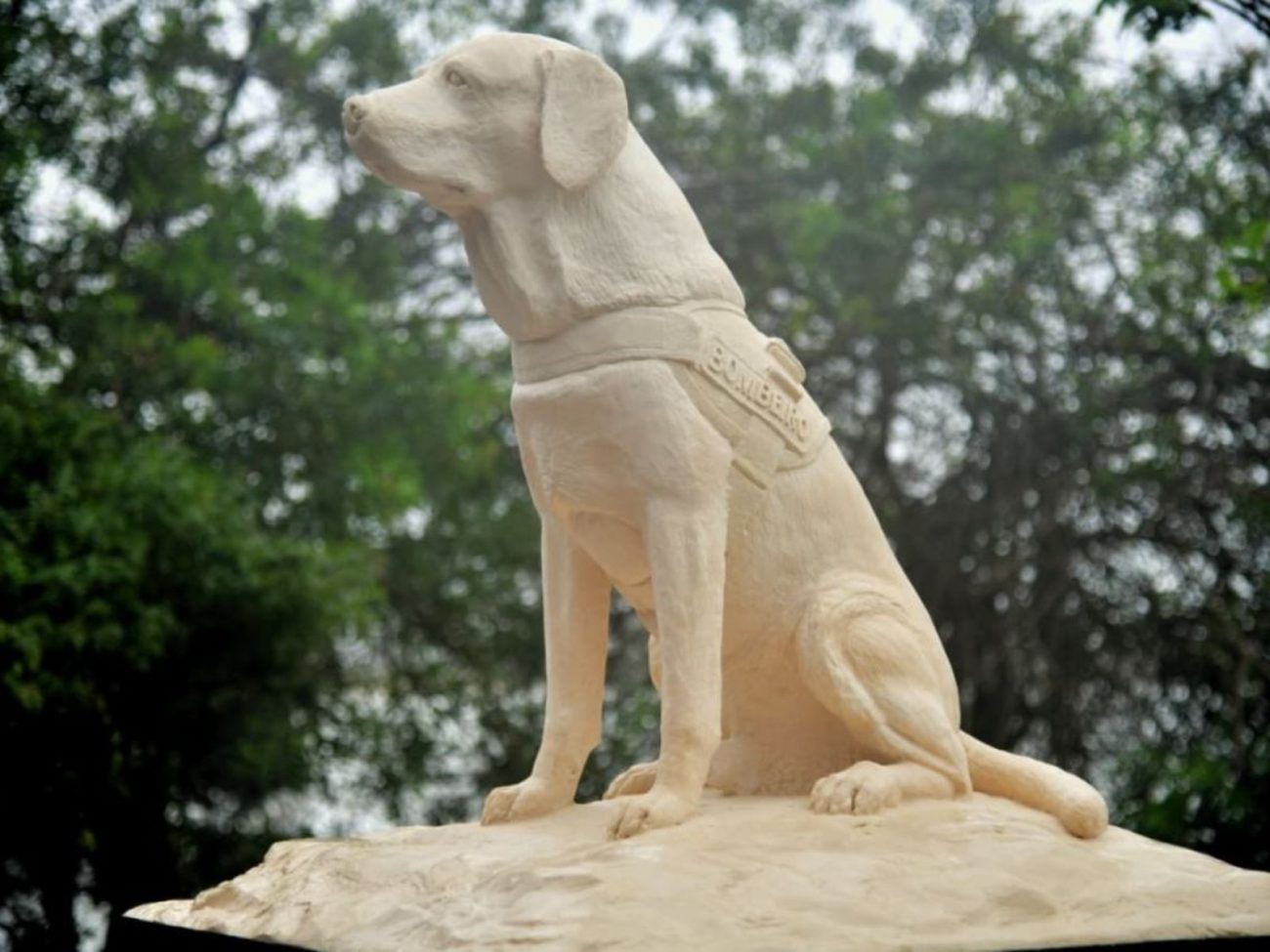 Monumento de cão guarda-vidas em Itajaí foi inaugurado na última sexta-feira (3)Foto: Divulgação/Corpo de Bombeiros/ND