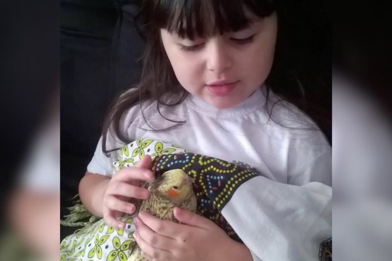 Influenciadora catarinense e filha foram encontradas mortas em cômodos diferentes, no RJ. - Divulgação/ND