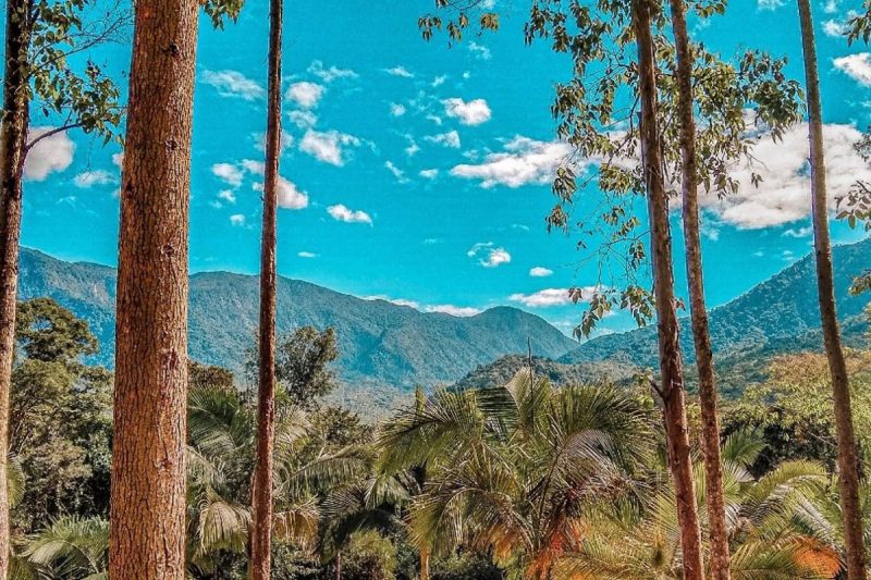 Recanto Woody - Prefeitura de Schroeder Divulgação ND - Prefeitura de Schroeder/Divulgação/ND