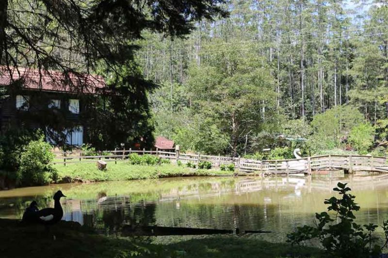 Vale Rio do Júlio 3 - Prefeitura de Schroeder Divulgação ND - Prefeitura de Schroeder/Divulgação/ND