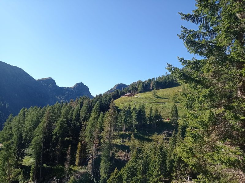 Campos verdes em Fornace, na Itália - Reprodução/Comune di Fornace/ND Mais