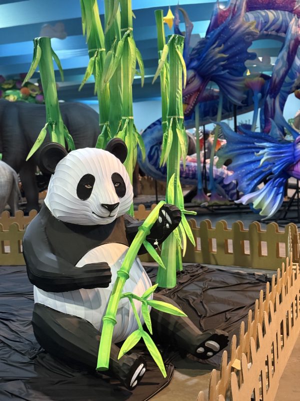 Maior espetáculo de luzes da América Latina estreia em Blumenau e promete cenas 'de outro mundo' - Reprodução/ND Mais