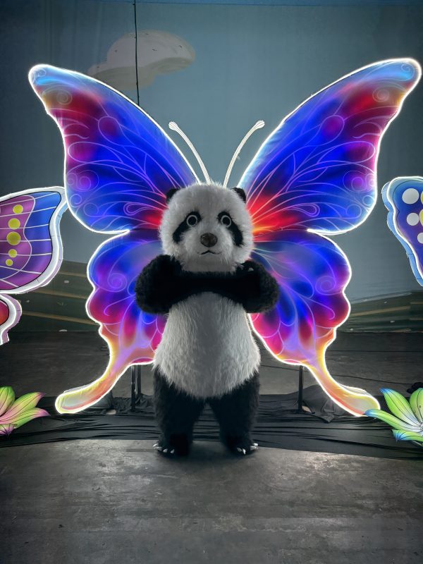 Recorde mundial: maior espetáculo de luzes da América Latina foi montado em tempo inédito em Blumenau - Divulgação/ND Mais