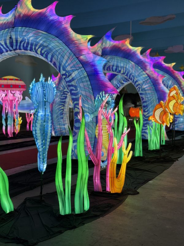 Recorde mundial: maior espetáculo de luzes da América Latina foi montado em tempo inédito em Blumenau - Divulgação/ND Mais