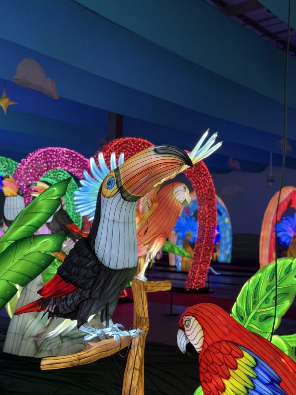 Recorde mundial: maior espetáculo de luzes da América Latina foi montado em tempo inédito em Blumenau - Divulgação/ND Mais