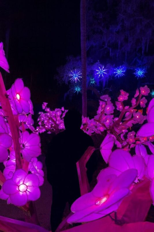 Maior espetáculo de luzes da América Latina estreia em Blumenau e promete cenas 'de outro mundo' - Reprodução/ND Mais