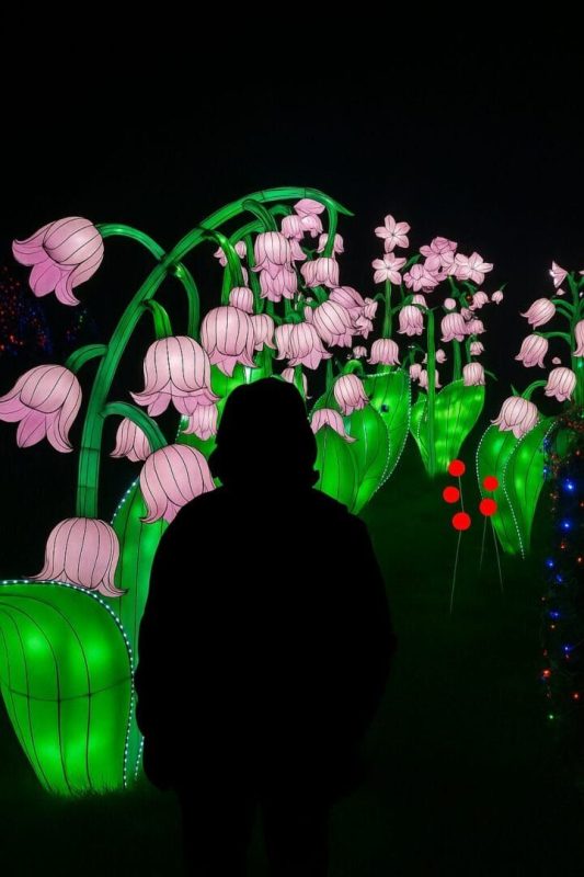 Maior espetáculo de luzes da América Latina estreia em Blumenau e promete cenas 'de outro mundo' - Reprodução/ND Mais