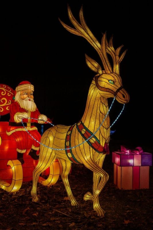 Maior espetáculo de luzes da América Latina estreia em Blumenau e promete cenas 'de outro mundo' - Reprodução/ND Mais