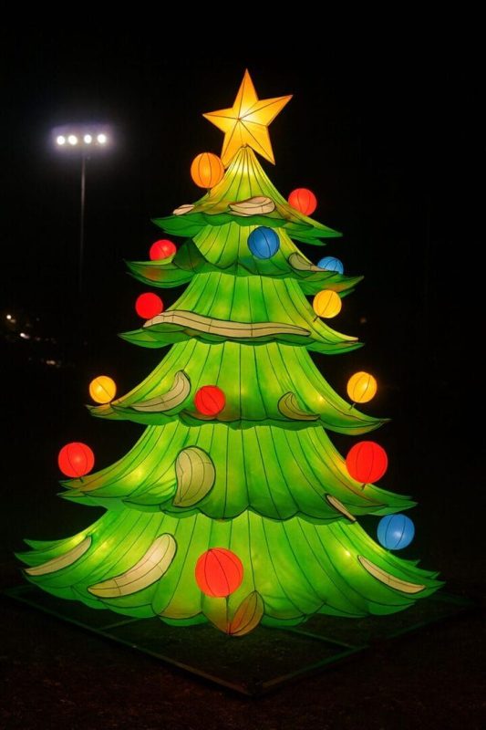 Maior espetáculo de luzes da América Latina estreia em Blumenau e promete cenas 'de outro mundo' - Reprodução/ND Mais