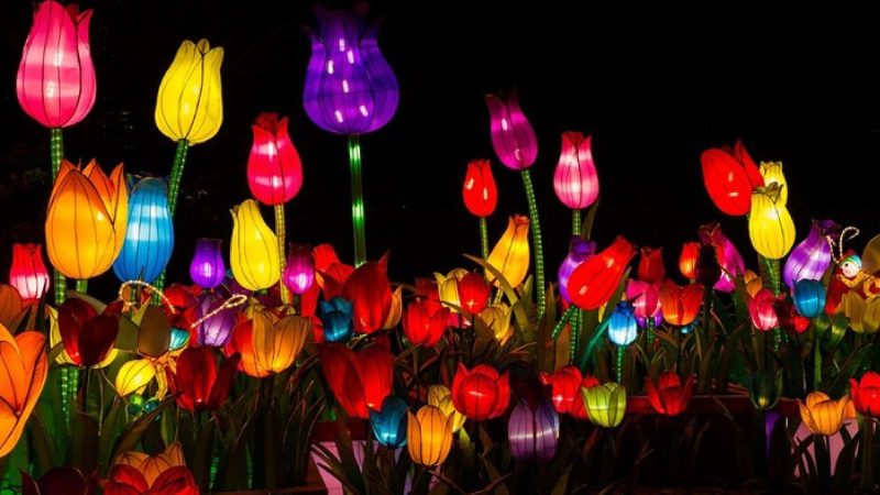 Maior espetáculo de luzes da América Latina estreia em Blumenau e promete cenas 'de outro mundo' - Reprodução/ND Mais