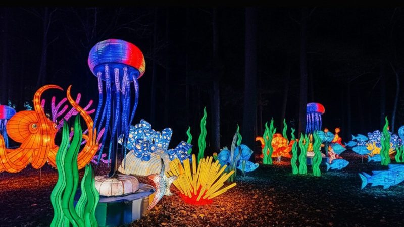 Maior espetáculo de luzes da América Latina estreia em Blumenau e promete cenas 'de outro mundo' - Reprodução/ND Mais