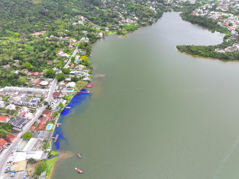 Autoridades ambientais coletaram amostras da água azulada para análise e identificação da substância responsável - Divulgação/AmoLagoa