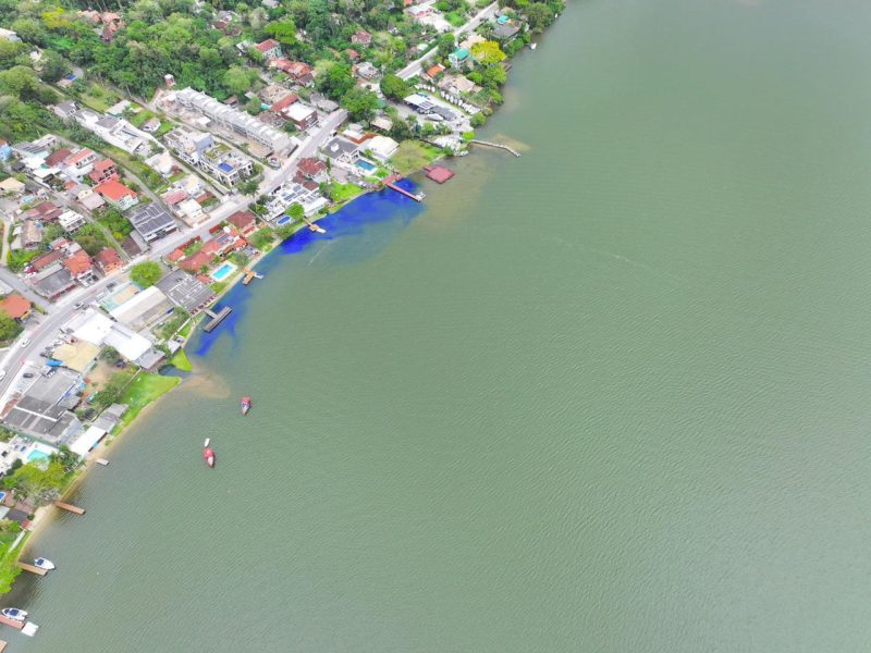 Mancha de tom "azul caneta" se espalhou pela Lagoa da Conceição, mas se dissipou ao longo do dia - Divulgação/AmoLagoa