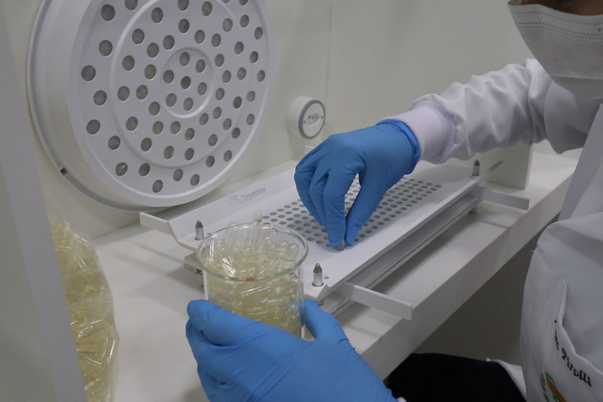 Investigações da Polícia Civil apontaram a presença de clonazepam