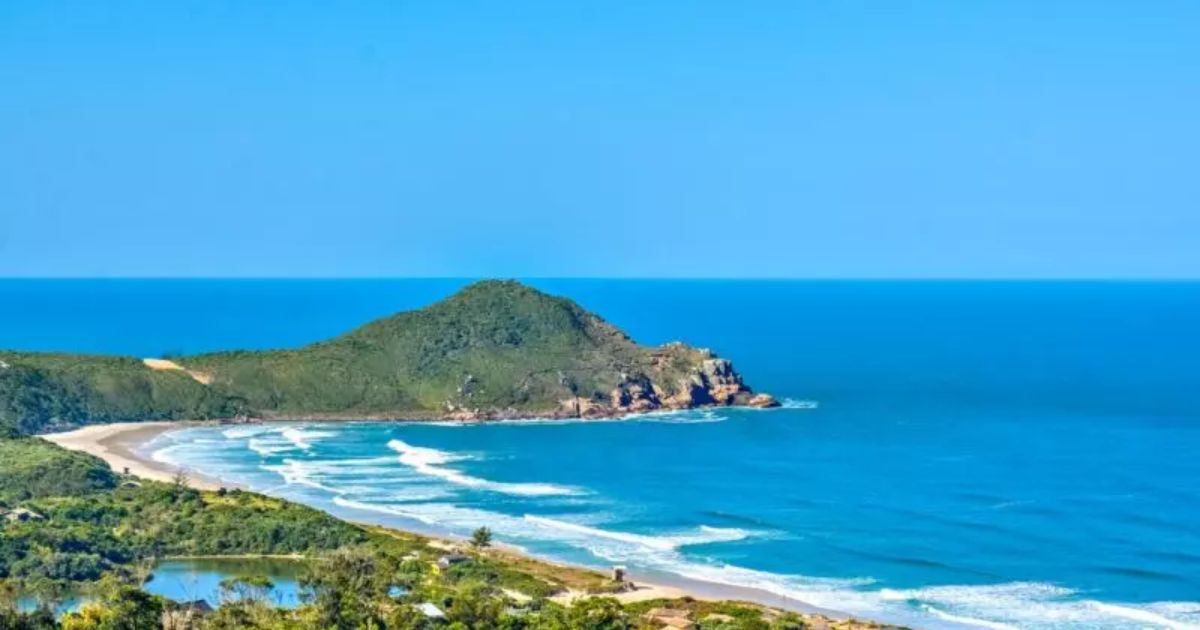 Praia do Rosa concentra jovens argentinos em SCFoto: Divulgação/ Ao Sul Natural/ND Mais
