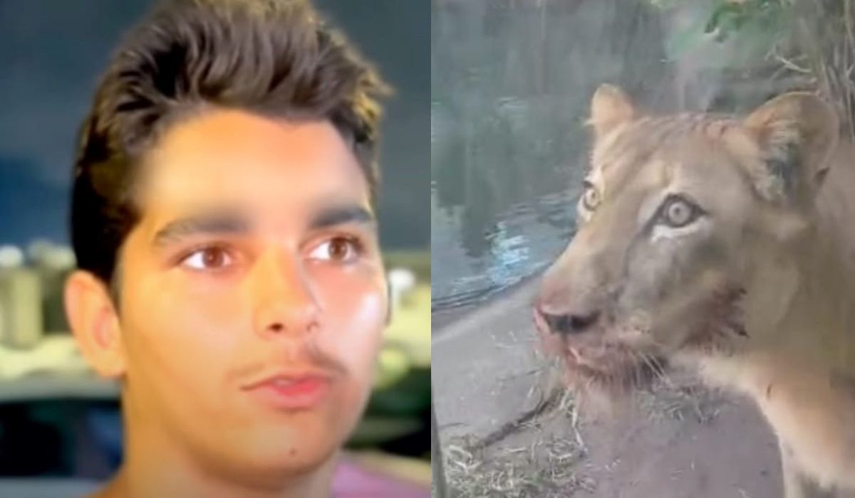 Saiba quem é homem morto por leoa em zoológico da PB