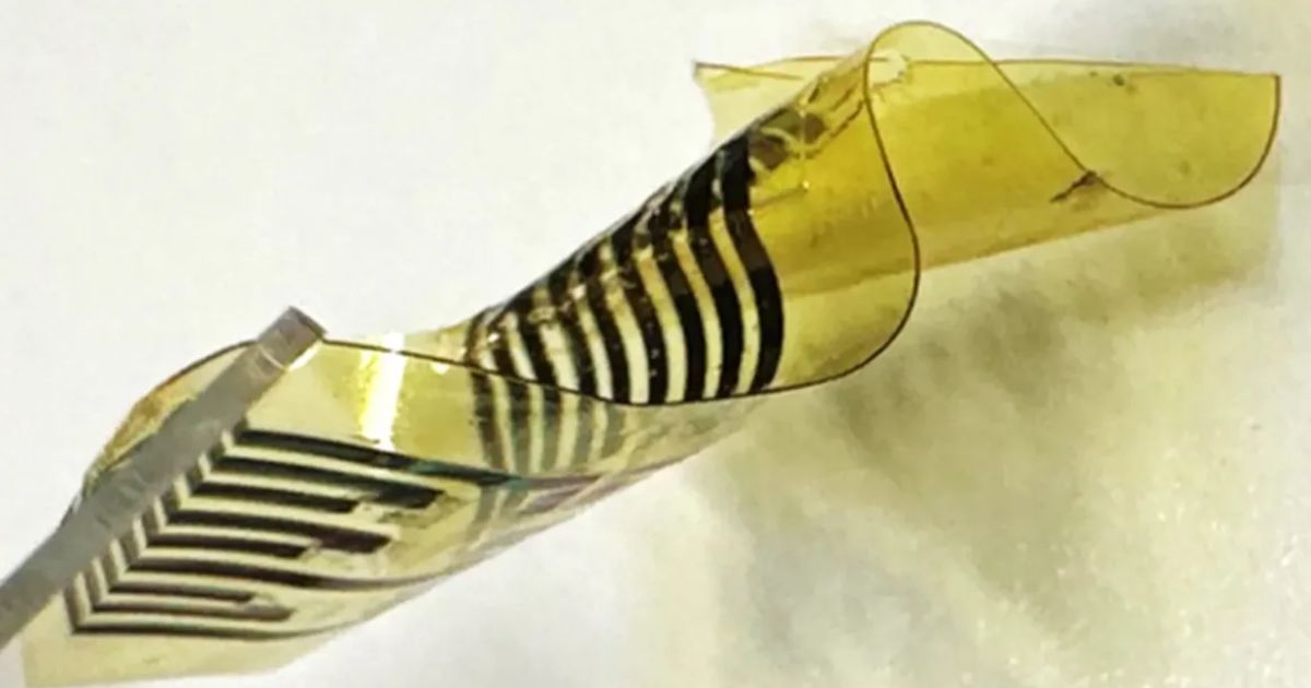 Próximo passo é testar adesivo em humanos