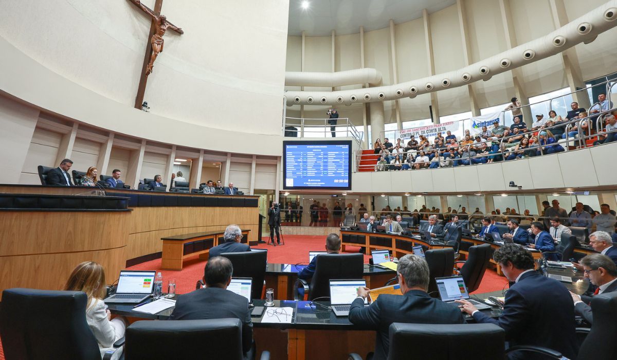 Projeto aprovado na Alesc pelo fim das cotas raciais em SC será analisado pelo Ministério PúblicoFoto: Divulgação/Jeferson Baldo/Agência AL/ND Mais