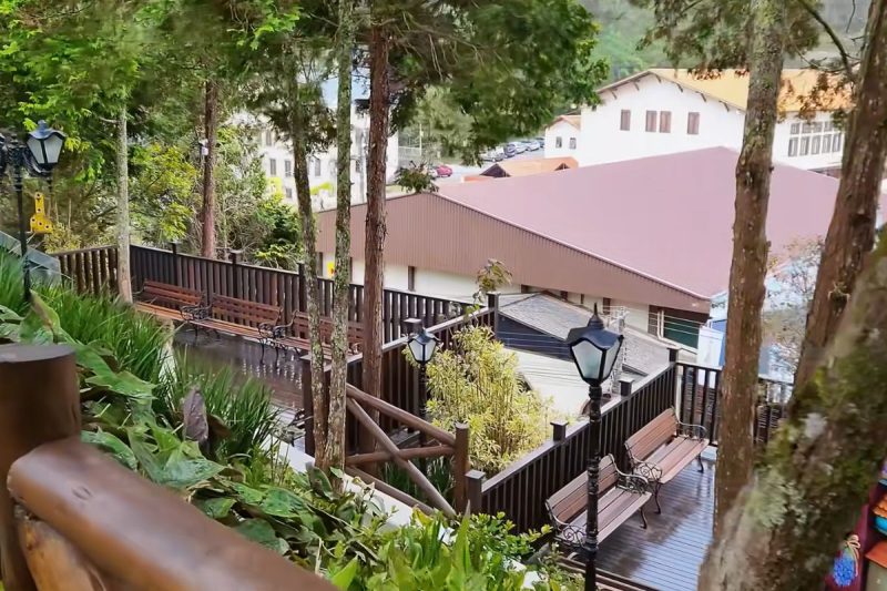 Bosque São Bento foi construído pela comunidade - Divulgação/@sincerosc/ND Mais