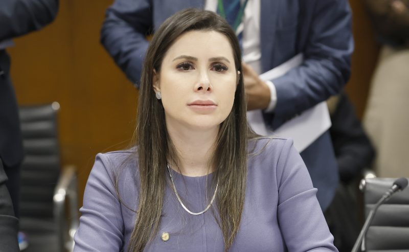 Caroline de Toni (PL) concentra maior intenção de votos em Santa Catarina - Marina Ramos/Câmara dos Deputados/ND Mais