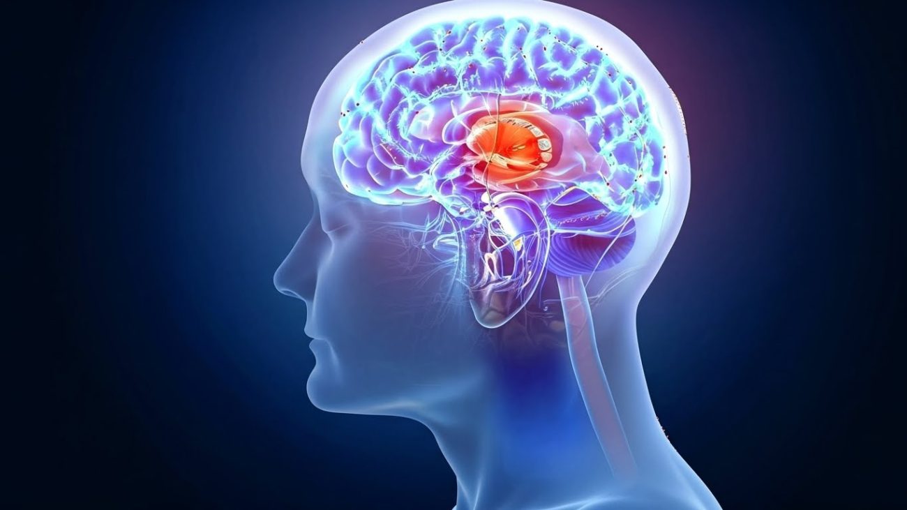 Glioblastoma é um câncer cerebral agressivo e de difícil tratamento