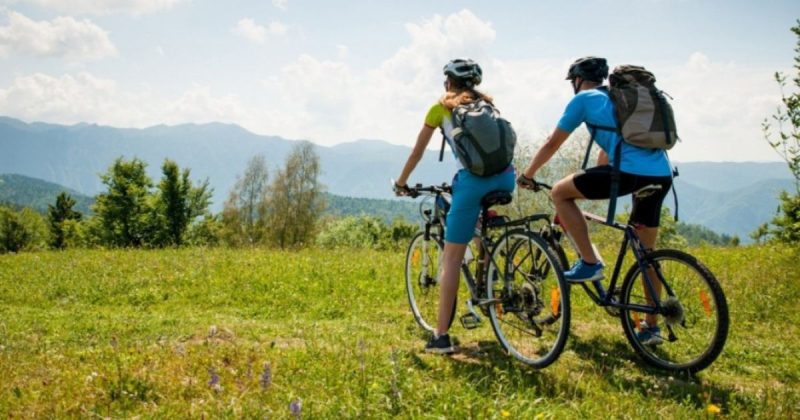 Circuito das Araucárias em São Bento do Sul - Circuito das Araucárias em São Bento do Sul