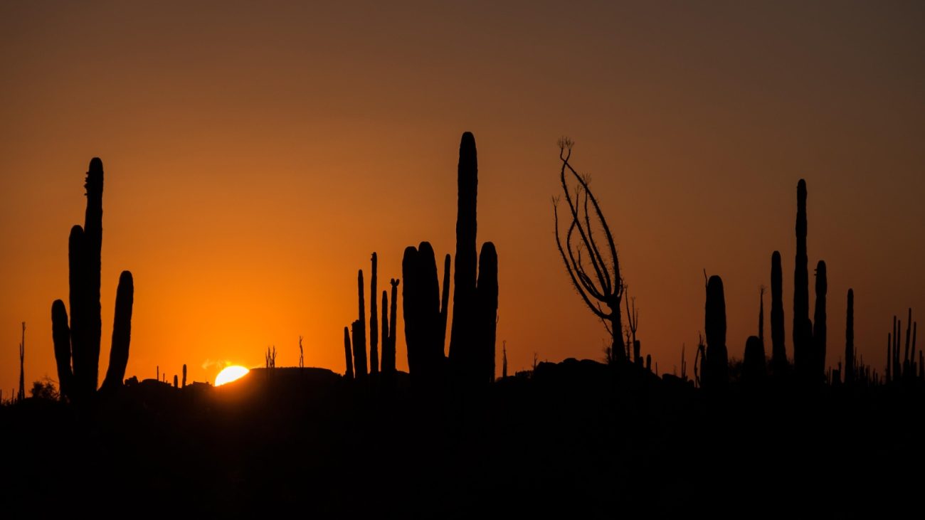 O verão segue até 20 de março de 2026, com dias mais longos e noites mais curtasFoto: Canva/ND Mais