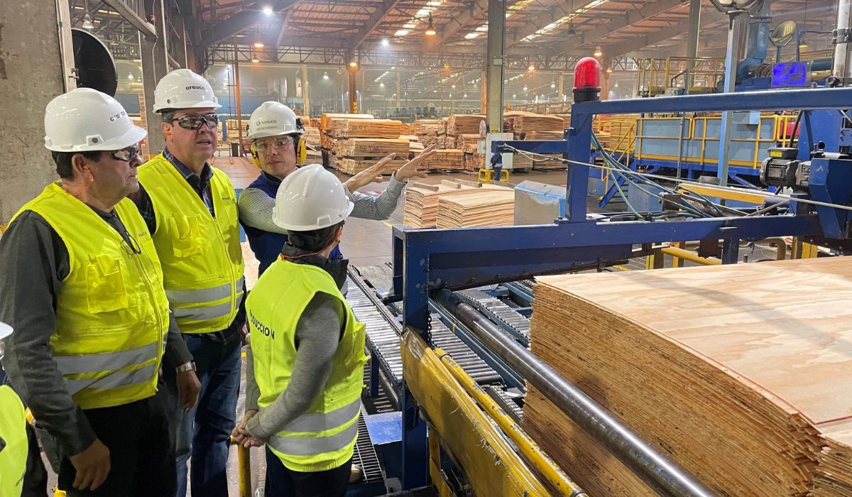 Projeto Sucuriú contará com 400 mil hectares de plantação de eucaliptoFoto: Divulgação/Governo do MS/ND