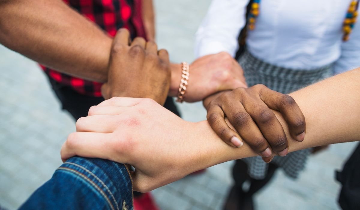 Vigência da lei que proíbe cotas raciais em SC poderia causar ‘danos irreversíveis’, alega decisãoFoto: Freepik/ND Mais