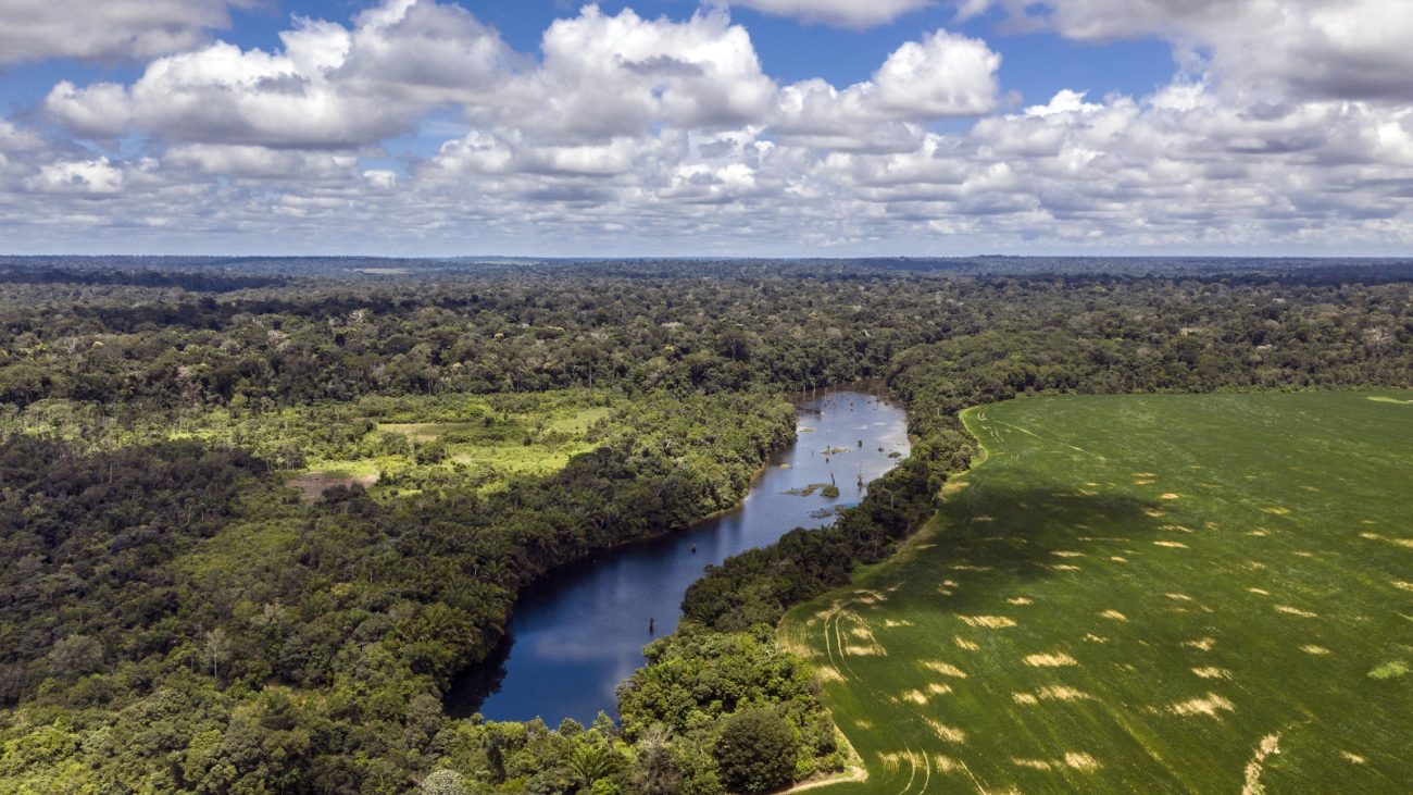 Área de mata