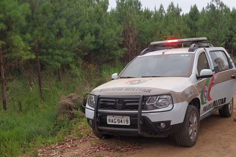 A equipe foi acionada por volta das 15h30 - Divulgação/Corpo de Bombeiros/ND Mais