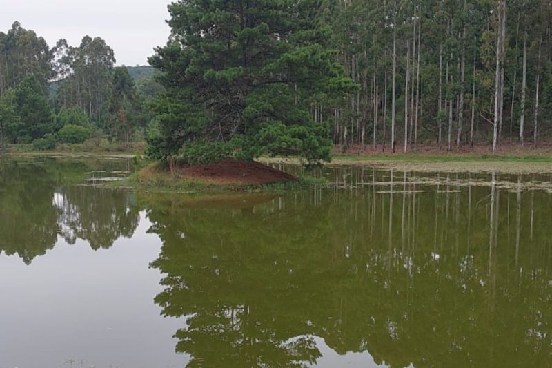 Os colegas tentaram socorrer David - Divulgação/Corpo de Bombeiros/ND Mais